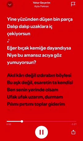 Ajda Pekkan Yakar Geçerim #ajdapekkan #yakargecerim #spotify #şarkı @48 AEZ 495 ❤️‍🔥 