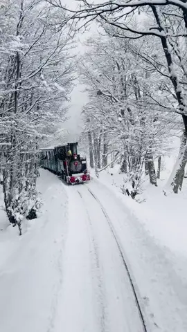 ❄️ Invierno en el Tren del Fin del Mundo… 📸Estas imágenes son de la hermosa nevada de hoy. ¿Qué sensación te despierta este video? 🤩 El Tren del fin del Mundo Ushuaia 