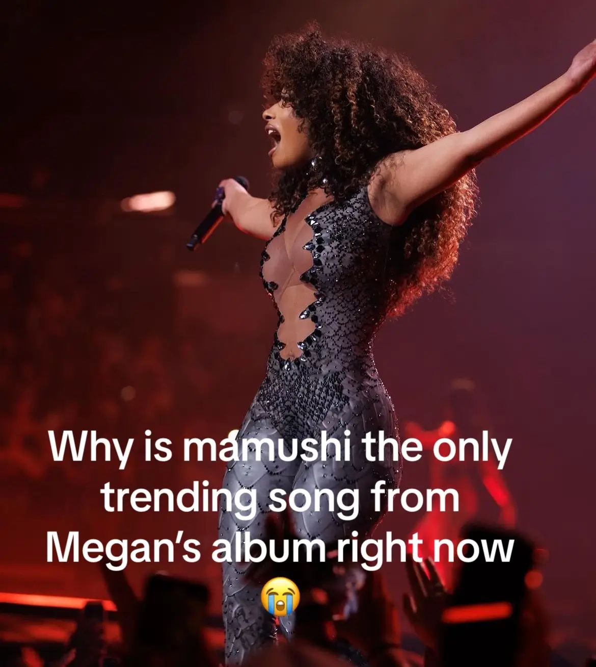 Hit girl otaku and Mamushii arebt the only good songs on her album 😭😭 #megantheestallion #fyp #trending #japan #mamushi #fypage #viral #rap #drill #randb #dance #spotify #applemusic 