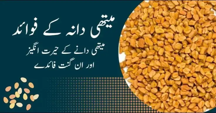 #fenugreek #fenugreekseed #naturalremedy #healthyliving #thankyou #foryoupageofficiall #tiktokpakistan #goviral #virallllllllllllll #foruyou #foryoupage❤️❤️ #standwithkashmir #fypppppppppppp #fypシ゚viral #standwithkashmir_foryou_viral #fypppppppppppppppppppppp #eidkikhushiyan #foryoupagе #foryou #foryoupagee #foryou #trending #growmyaccount✅ #tiktokviral #tiktokpakistan #mishi846 