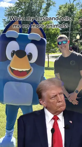 #fyp #CapCut #fyppppppppppppppppppppppp #trump #husband #bluey 