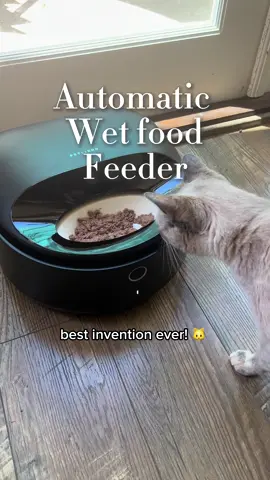 Automatic wet food feeder? Best invention yet! 🤩 🐱 #automaticfeeder #catfood #cats #cat #kitten #kittens #kitty #cutecat #kittycat #funnycat #wetfood #catwetfood #siamesecat #tabbycat #catlover #catlovers #catlife #catsoftiktok #cattok #catperson #catlady #ttsacl #tiktokshop #tiktokshopdealsforyoudays #dealsforyoudays #tiktokshopsummersale #summersale #fyp #cozy #cozyjacki #cozyathome #catnecessities #dailynecessities 