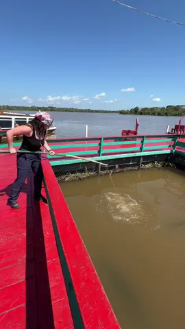 **IN THE AMAZON** 🇧🇷😮‍💨  - I had so many firsts in Brazil… but the best part??? it was all ~in the Amazon~ 🐒  There’s SO many cool variety of activities here and they are ENDLESS!!!!  - (I love brazil, that’s all) #brazil #visitbrasil #amazonas #brasil 