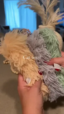 Another great cat toy find! 🤍🥰  #cattoys #catsoftiktok #kittensoftiktok #kitten #fyp #julydeals #tiktokshop 