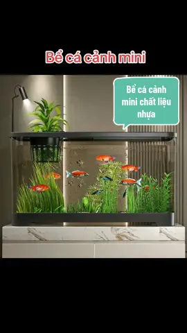 Bể cá cảnh mini để bàn chất liệu nhựa #becacanh #xuhuong #xuhuongdamecacanh #xuhuongtiktok #viralvideo 