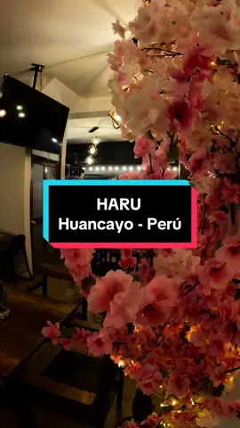 Con quién irías? 😋 #Huancayo #fypシ゚viral #Ramen #ComidaJaponesa #restaurantes #hyo #parati #planes 