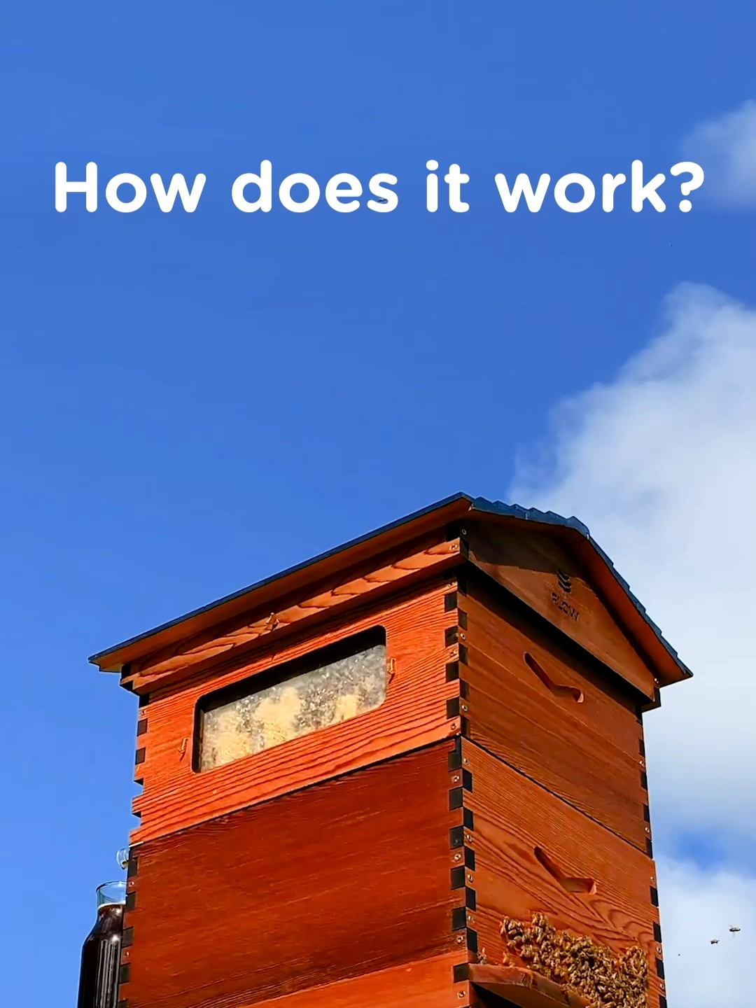 'We're often asked 'Are bees harmed when harvesting honey with a Flow Hive?' Watch here to see how the Flow Hive works! 🐝💛 #flowhive #FAQ #honey