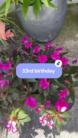 Little bits of how I spent my birthday 💕  Beer flowers and boba 😅  #birthday#momlife #kailua #flowers🌼🍁🌸 
