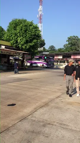 lumayan agak pengang dikit #sjmtrans #ratumaher #basurihorn #busstory 