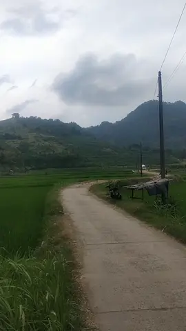 di puncak gunung clering Jepara,,💪