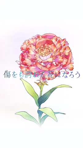 🟠🟡🟩🔹 🟪🔻 #アポロドロス Official Lyric Video⁡ 🔺🟣 🔷🟢🟨🔸 #MrsGREENAPPLE