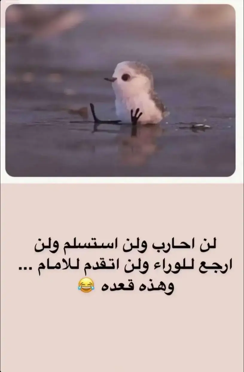 #صباح_الخير🤪😹👏 