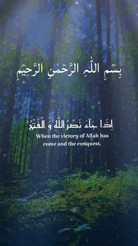 Dear TikTok support team I kindly request you my video doesn't contain any issue which effect TikTok experience so please kindly request you don't Disqualify My videos It Is Peaceful Quran recitation videos thanks 🙏#1millionaudition #viral #foryou #fyp #peacfullrecitation #1mveiws #pleaselesson #growmyaccount #foryoupage 