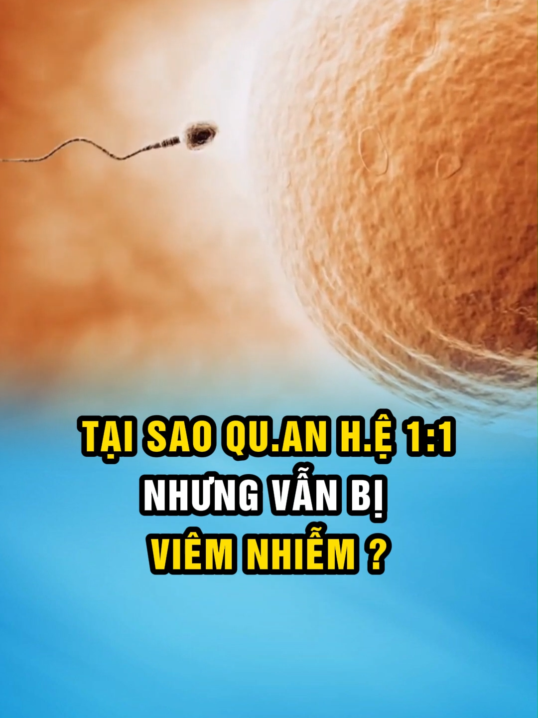 Nhiều bạn thắc mắc tại sao qu.an h.ệ chung thủy mà cứ viêm tái đi tái lại #suckhoegioitinh #suckhoephukhoa #sinhlynu #suckhoe #phunu #facts #xuhuong #viral #fyp #12kimma #hanoi #dakhoayhocquocte #yhocquocte