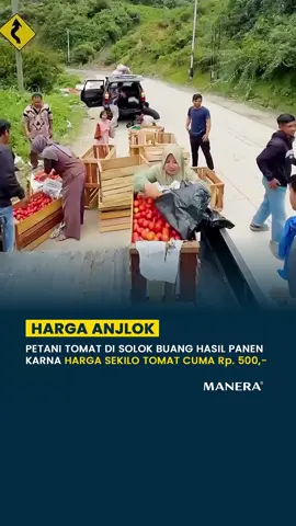 Sejumlah petani di Kabupaten Solok, Sumatra Barat, membuang tomat hasil pertanian mereka ke jurang, Sabtu (29/6/2024). Aksi tersebut dilakukan karena anjloknya harga tomat di daerah itu, yang saat ini hanya Rp500 per kilogram. Menurut pemilik akun, Beni Arseno, petani lebih memilih membuang tomatnya daripada membiarkannya membusuk di gudang. “Karena tidak laku, mau bagaimana lagi, sudah mau membusuk di gudang,” kata Beni. via fakta.indo cr video: fakta.indo #manera #maneraproject #tomat #tomato #harga #petani #petanitomat #viral #indo #indonesia 