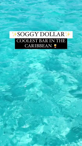 This place 👏🏻🍹🥹 @Charter Smarter  #bvi #britishvirginislands #tiktoktravel #soggydollarbar #soggydollar #chartersmarteraffiliate 
