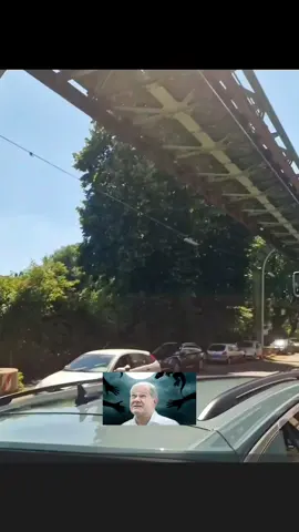 Olaf Scholz auf der Flucht #olafscholz #scholz #politik #flucht #weglaufen #witzig #totlachen #scherz 