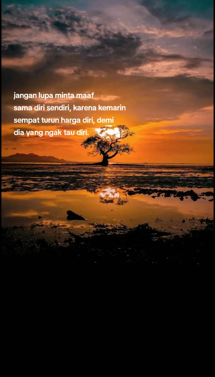 🌻🌻✍️ #katasemangat  #katakata  #motivasidiri #senyumsemangat #4you #4upageシ #fypシ #fypage 