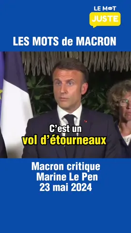 #politiquefrancaise #macron #emmanuelmacron #vocabulairefrançais #françaisprofessionnel 