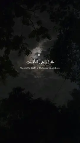 فنادى في الظلمات ان لا اله الا انت سبحانك اني كنت من الظالمين [Surah Anbiyah '87' سورة الأنبياء] #quran #beautifulrecitation #surahanbiya #mansour_alsalmy #islamic_status #relaxation #believe #قران_كريم #سورة_الأنبياء #منصور_السالمي #راحة_وطمأنينة_ #راحة_نفسية #مقطع_قران_قصير #ارح_سمعك_بالقران #اجر_لي_ولكم 