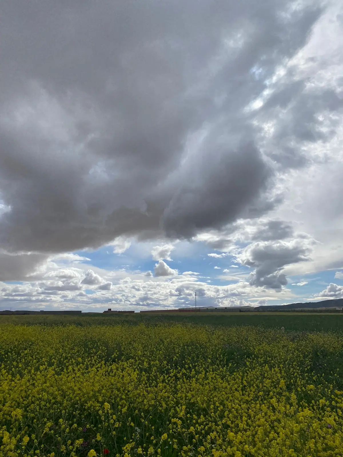 - - - - -#sky #clouds #nature #photography #photomagic #beach #beachvibes #Summer #summervibes #fyp #explore #foryoupage #fypシ #calm #green #naturevibes #italy #viral #viralvideo 