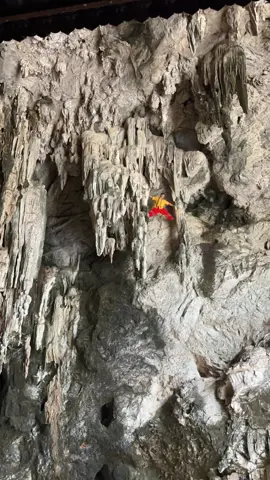 Nghệ nhân hái tổ yến trình diễn leo trên vách hang đá dựng đứng 90 độ ở động Yến Tử, Kiến Thuỷ. 😗 Các bác VN vừa xem vừa thốt lên: Nam mô a di đà Phật, cháu ơi xuống đi... (dù họ không hiểu tiếng Việt)!! #yunnan #jianshui #pingbian #kienthuytrungquoc #mongtutrungquoc #binhbientrungquoc #khaivientrungquoc #dongyentu #dongyentutrungquoc 