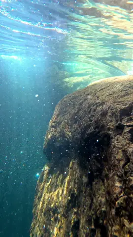 Back at my favorite waterfall in Washington 😍 I slightly risked my life filming this one so I hope y'all enjoy!! #nature #river #waterfall #underwater #forest #washington #pnw #explore #adventure 