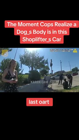 #instantkarma #cops #racistcops #crime #fyppppppppppppppppppppppp #suspect 