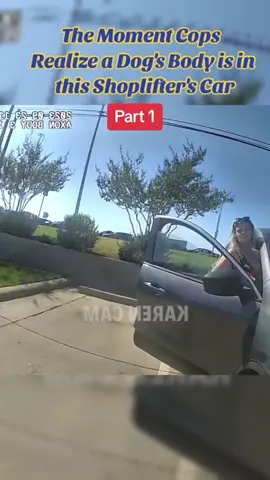 The Moment Cops Realize a Dog's Body is in this Shoplifter's Car #mariahthescientist #cops #police #policeoftiktok #copsoftiktok #MomsofTikTok #usa 