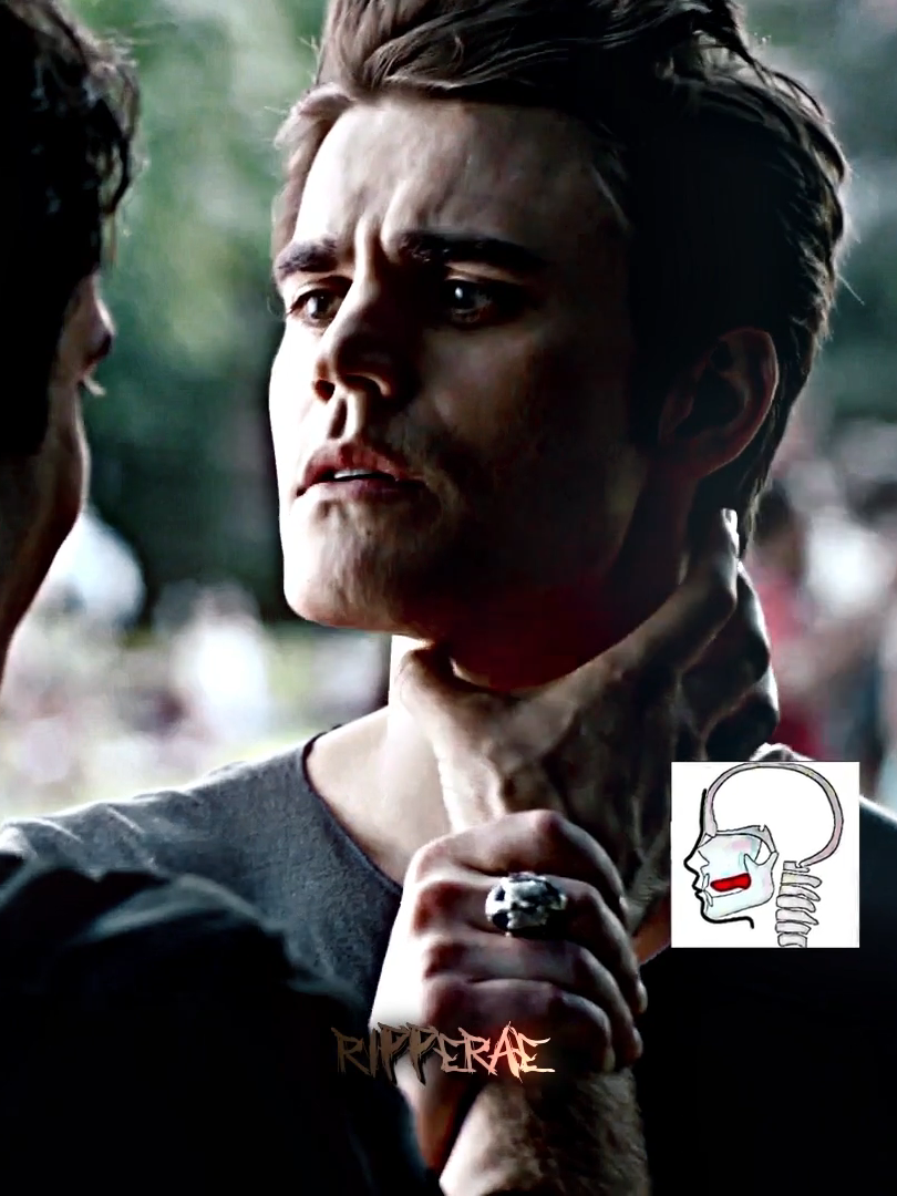 It was just a little joke #damonsalvatore #silastvd #stefansalvatoreedit #thevampirediaries #fyp