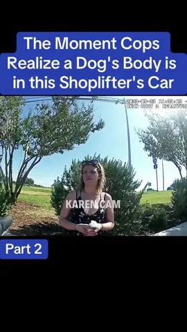 The Moment Cops Realize a Dog's Body is in this Shoplifter's Car