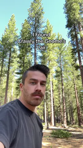 I found @CRAWLY the Gnome’s Lair in the wilderness! Let’s catch this poor gnome! #gnomevsknight #crawly #gnomes #fyp #fypシ゚viral #gnome #knights #teamgnome #teamknights 