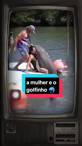 a mulher e o golfinho  #casosreais #golfinho #historiasdetiktok 