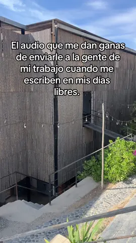Vayan a buscarle las pulgas a los perros 😂 #contenido #fy #humortiktok #chuchaquetusiquejodes 