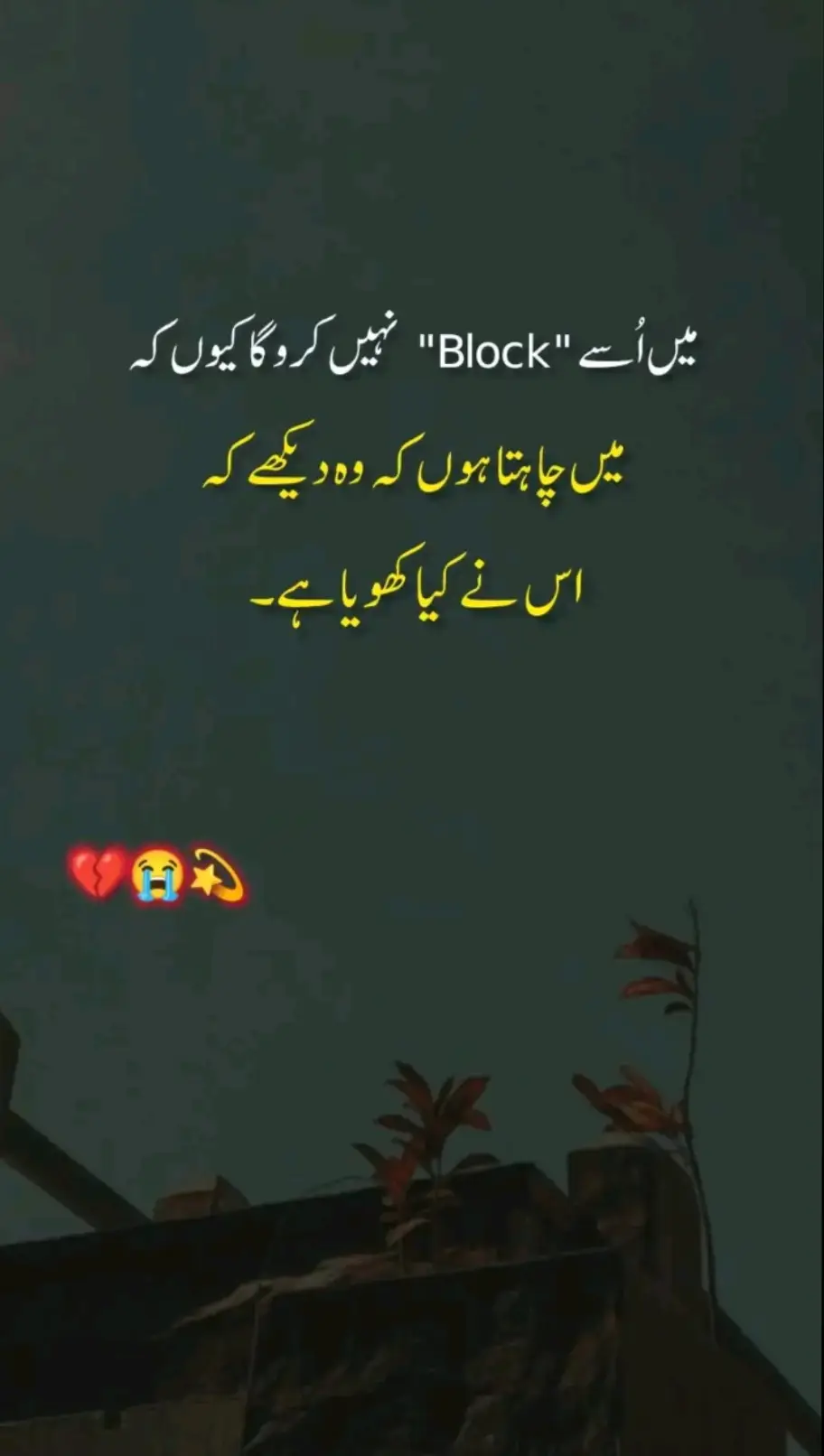 #💜 #📃🖋💙 #urdushyri🥀🌹urduline #urdupoetry #tiktokislove✅🌹 #viral #viral #viralvideo #tiktokpakistan 