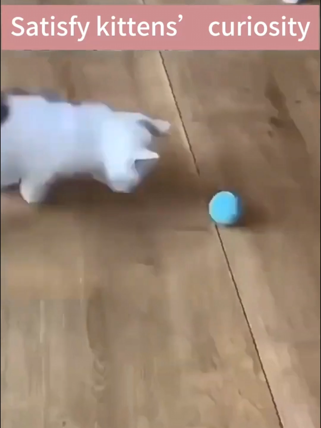 Smart Cat Ball. Check the Link in Bio #cat #catsoftiktok #foryou #foryoupage #smartcatball #smartball #cattoy #cattoys #catvideo #catlover #catgifts #giftforcats #fyp #fypシ #fypシ゚viral