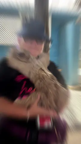 #slothsoftiktok #sloths #genx #slothsaremyspiritanimal #slothsarethebest #dreamscometrue 