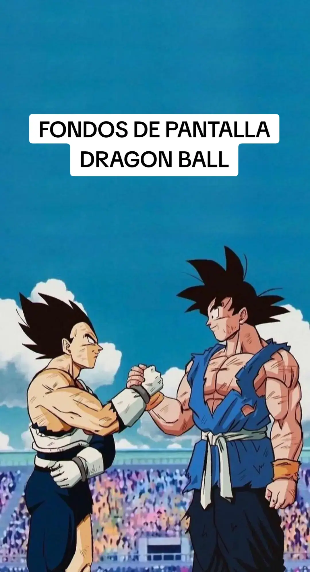 Dragon Ball fondos #ultrainstinct #ssjblue #ssj3 #ssj2 #goku #