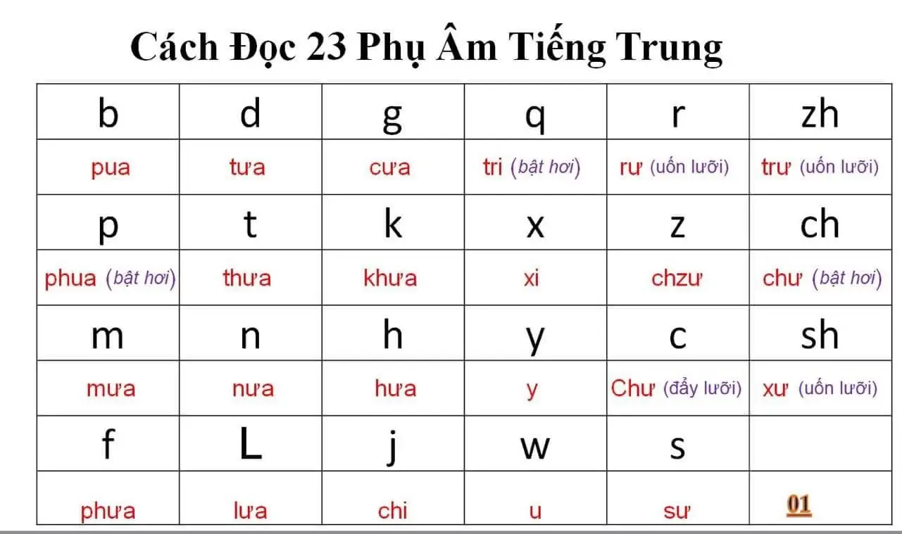 Dậy học Tiếng Trung đi các bạn...  #tựhọctiếngtrung🌹  #NGHIỆNHỌCTIẾNGTRUNG🌹  #tiếngtrunglavie🌹  #tiếngtrungkhôngkhó 