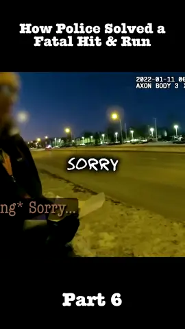 How Police Solved a Fatal Hit & Run part 6 #policeofficer #pursuit #copusa #policeactivity #copstvshow #copsoftiktok #trending #foryoupage #fbyyy