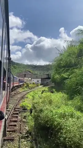 යන්න ඕනම ගමනක් තමා උඩරට දුම්රිය මාර්ගයේ දුම්රිය ගමනක් 🚂❤️🥰 #upcountry #srilanka #chutiyaenjoy #chutiyatravel #chutiyaday #chutiya #sahanmadhusha #chutiyarailwayvedio #onthisday ❤️🥰