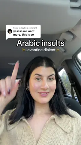 Replying to @kay06 more Arabic insults! Disclaimer I speak in a Syrian dialect 🤍 #arabic #arabiclanguage #arabiclessons #arabicinsults #learnarabic #kalb #syrian #levantine 