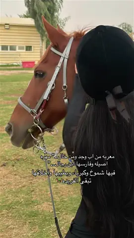 #المهره🐎 #الرياض #جده_غير #الاردن #السعودية🇸🇦 #دبي #الكويت🇰🇼 #قصايد_شعر_خواطر 