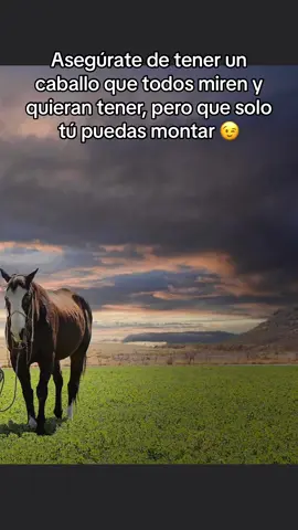 Y no hablo de caballos 😚♥️ #VicenteFernandez #caballo #viraltiktok  #paisaje #amoranimal 