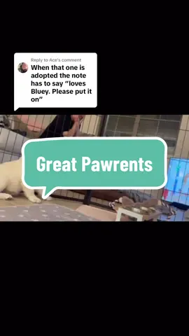 Replying to @Ace yep, the pawrents knew their assignment 😂 