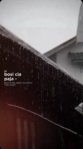 Bosi cia paja uddani cia lettu #lagubugis #liriklagu #bugistiktok #bugissulawesi #CapCut #fyp 