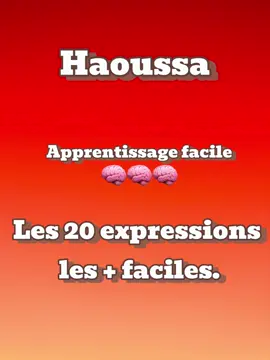 Apprenez les 20 Expressions Haoussa (hausa) les Plus Faciles ! #pyf #haoussa #hausatiktok #hausa 