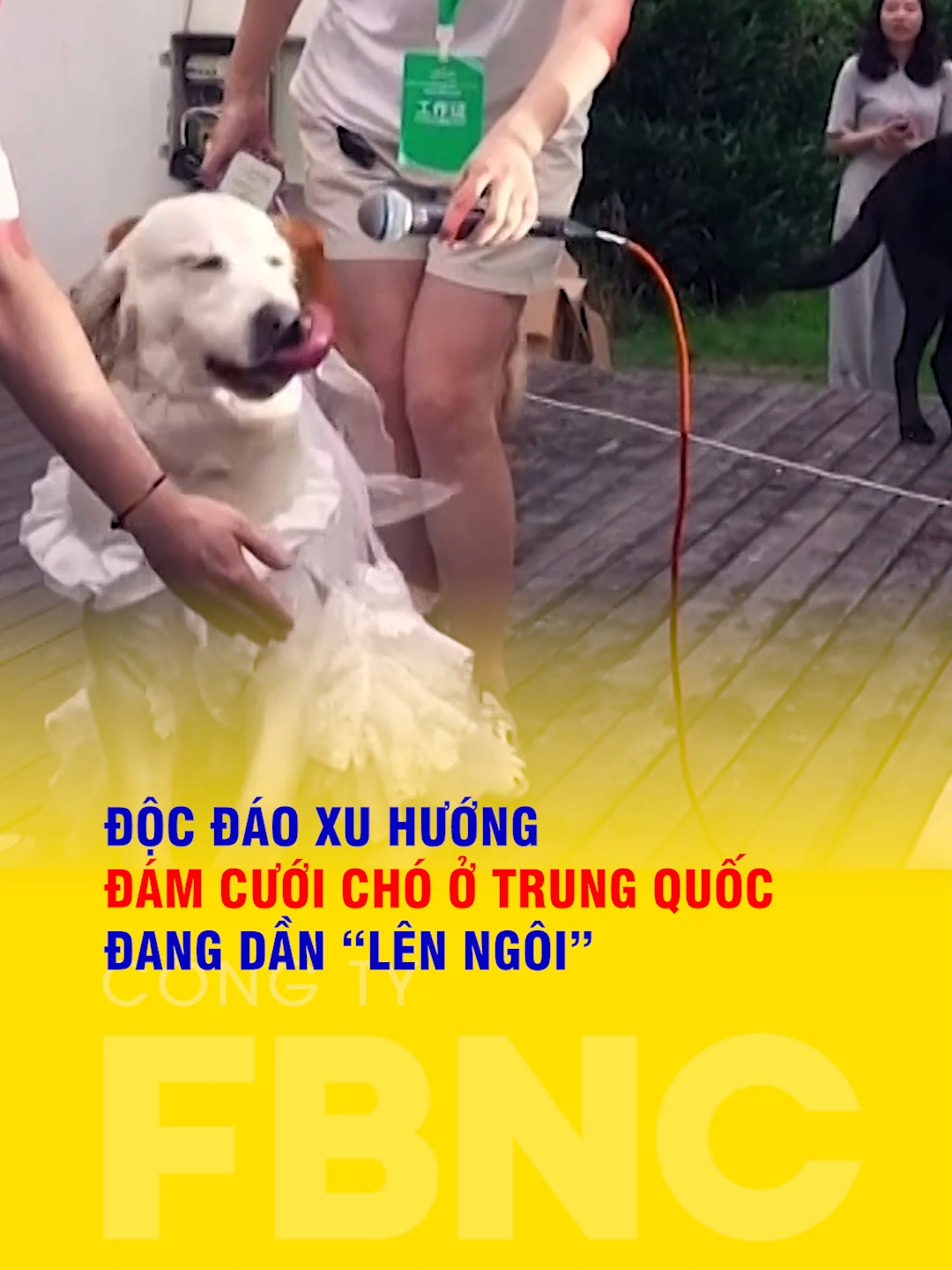 Độc đáo xu hướng đám cưới cho ở Trung Quốc đang dần 