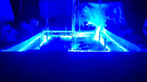 Real-time Audio and Gesture Controlled Fountain  #fountain #dancingfountain #realtimecontrol #computervision #ethio #innovation #ethiopian_tik_tok🇪🇹🇪🇹🇪🇹🇪🇹 