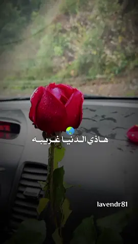 هذي الدنيا غريبه💔 #عبدالله_ال_فروان #شيلات_حزينه #حزن #جرح_القلب #تصميم_فيديوهات🎶🎤🎬 #قوالب_مع_شيلات_مع_الكلمات #شيلات #viral #lavendr81 #تصويري #اكسبلور #CapCut 